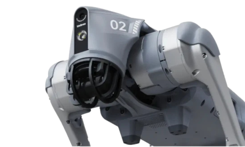 Untitled design (55)