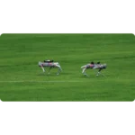 Unitree Go2 EDU Robotic Dog - Image 11